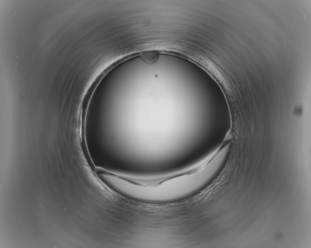X0000096391132200802071530