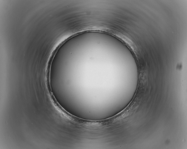 X0000096391135200802071530