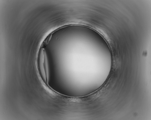 X0000096391136200802071530