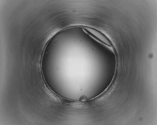 X0000096391137200802071530