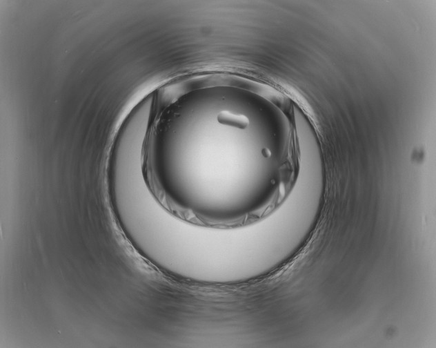 X0000096391138200802071530