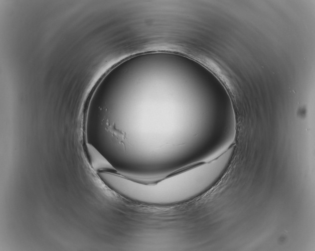 X0000096391140200802071530