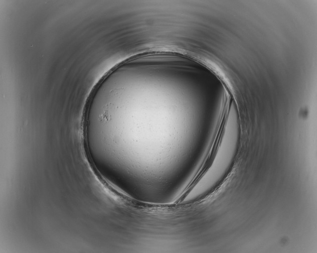X0000096391141200802071531
