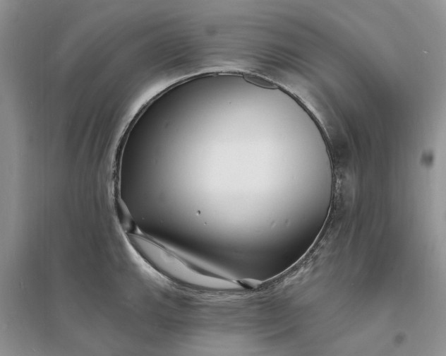 X0000096391143200802071531