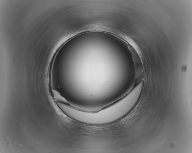 X0000096391144200802071531