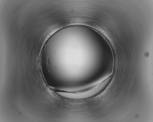 X0000096391145200802071531