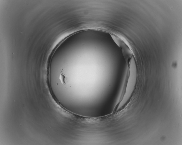 X0000096391147200802071531