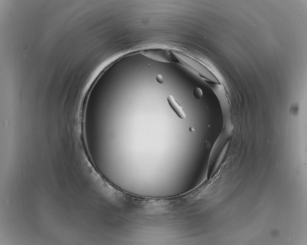 X0000096391148200802071531