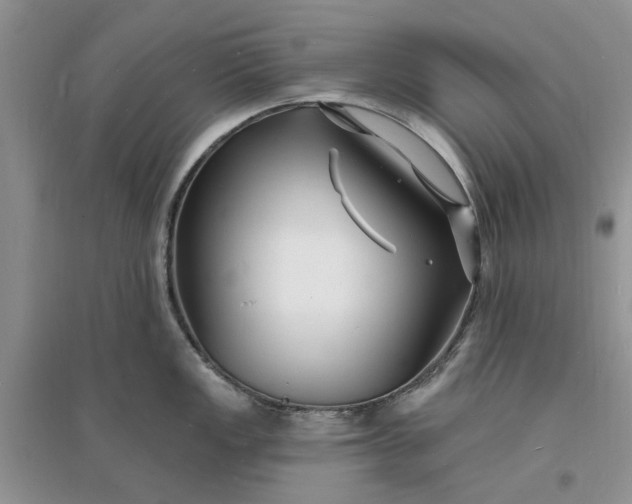 X0000096391149200802071531
