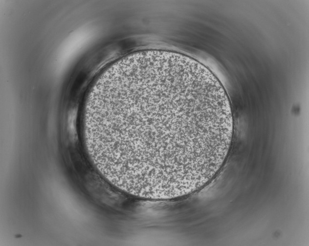 X0000096391150200802071531