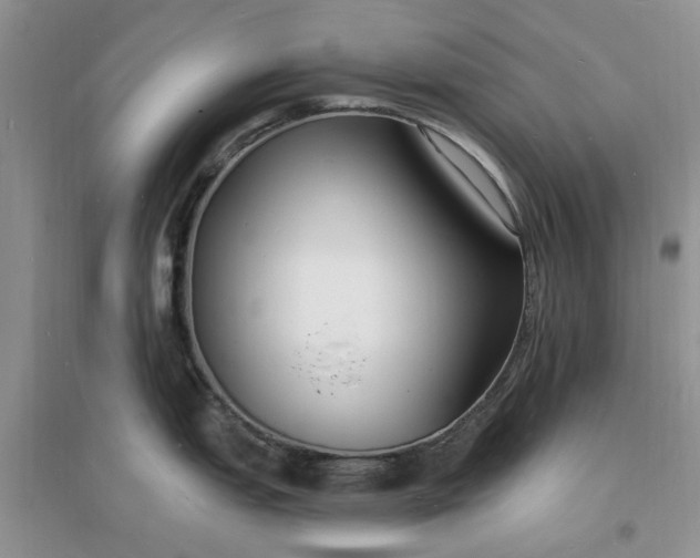 X0000096391151200802071531