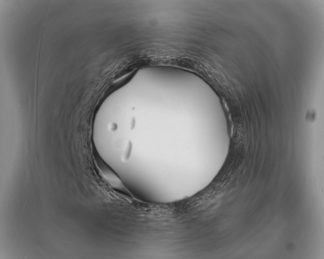 X0000096391153200802071530
