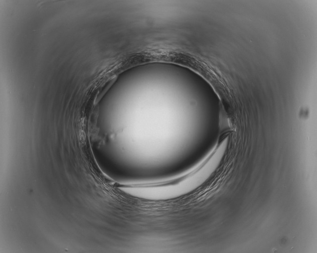 X0000096391156200802071530
