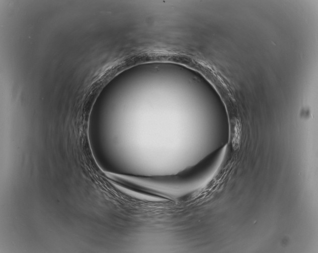 X0000096391157200802071530