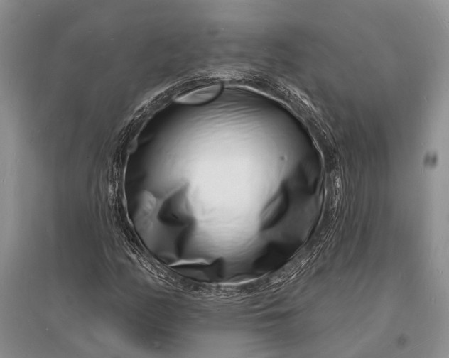 X0000096391158200802071530