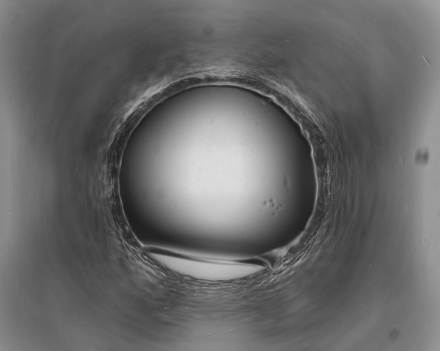 X0000096391160200802071530