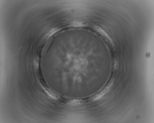 X0000096391161200802071530
