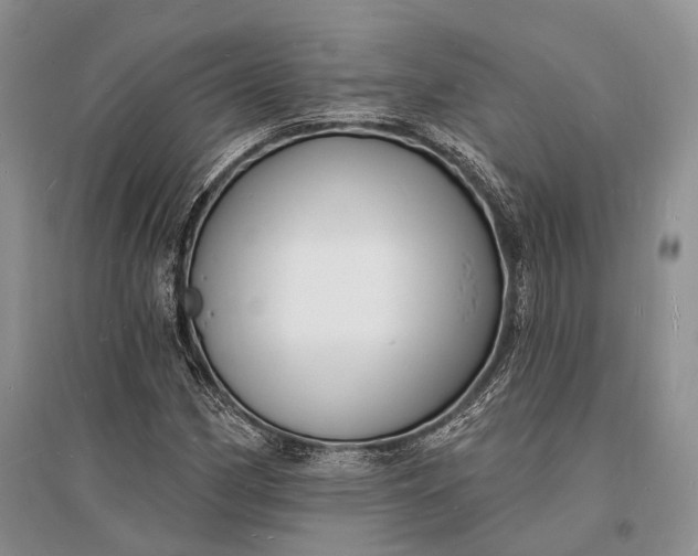 X0000096391162200802071530