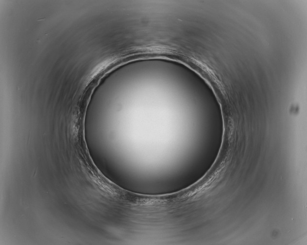 X0000096391163200802071530