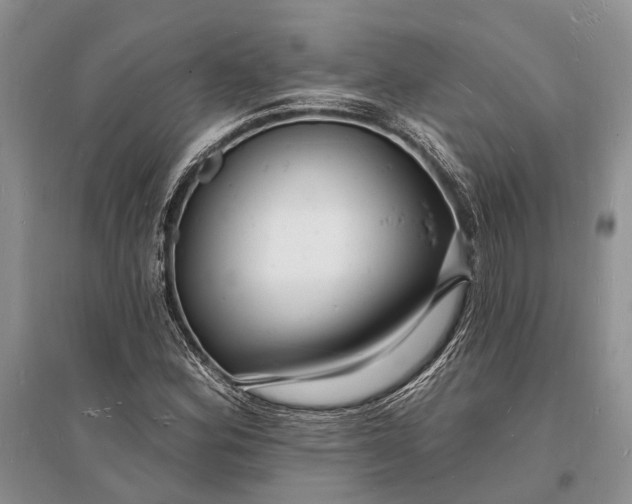 X0000096391164200802071530