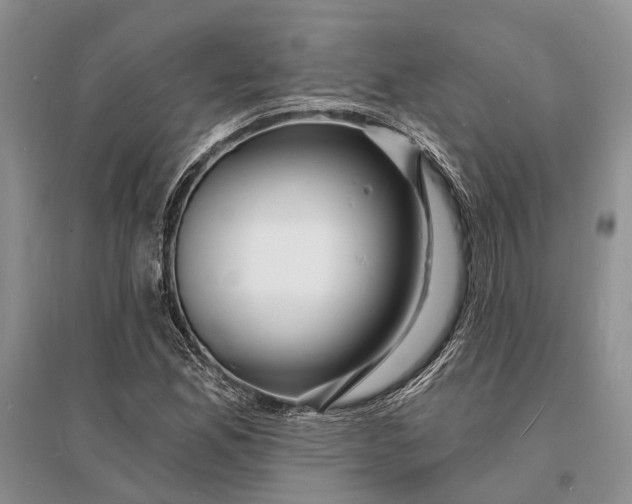 X0000096391165200802071530