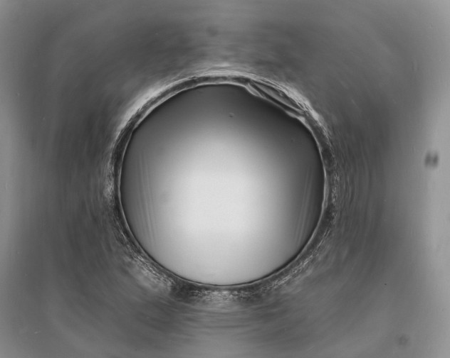 X0000096391167200802071530
