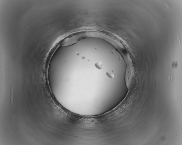 X0000096391168200802071530