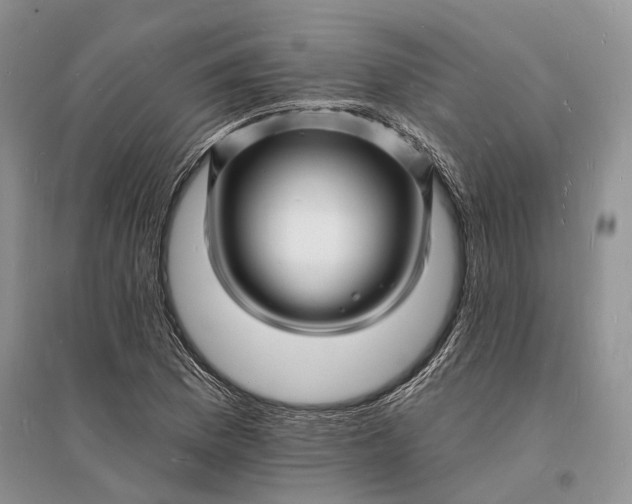 X0000096391169200802071530