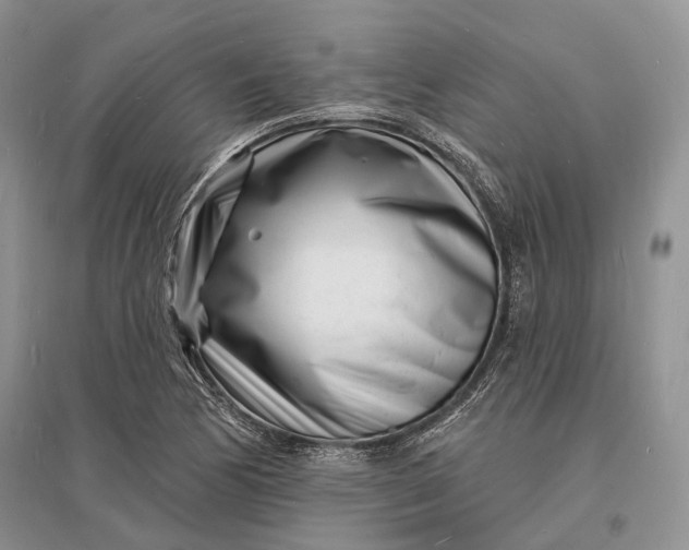 X0000096391170200802071530