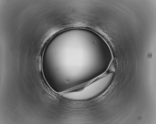 X0000096391171200802071530