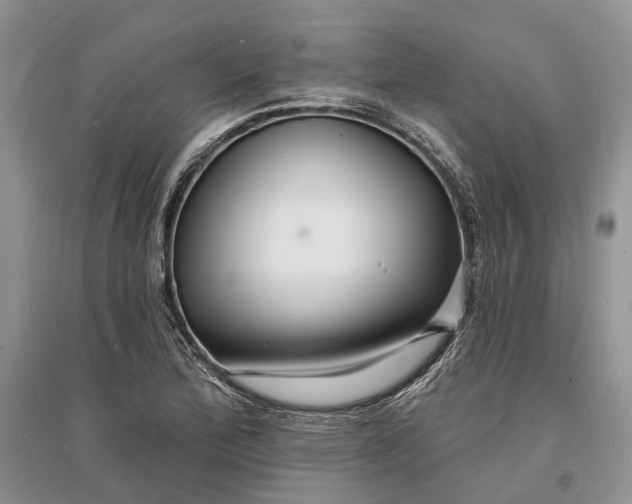 X0000096391172200802071530
