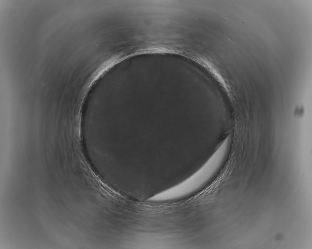 X0000096391173200802071530