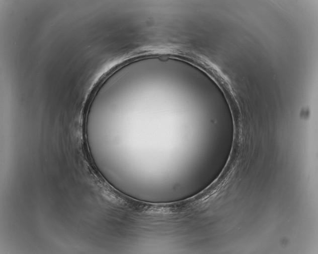 X0000096391174200802071530