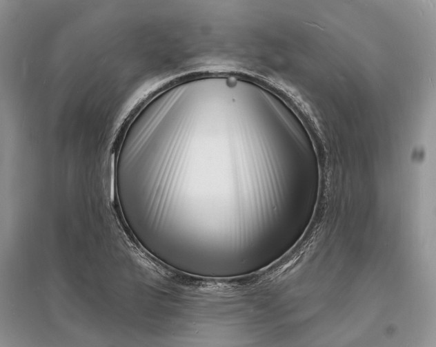 X0000096391175200802071530
