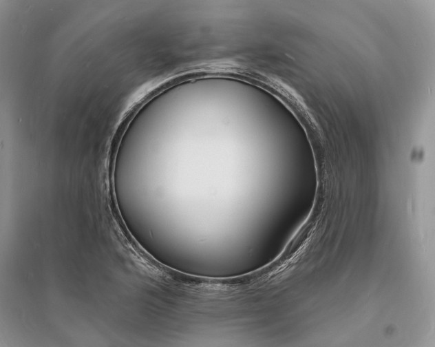X0000096391176200802071530