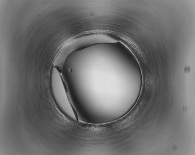 X0000096391177200802071529