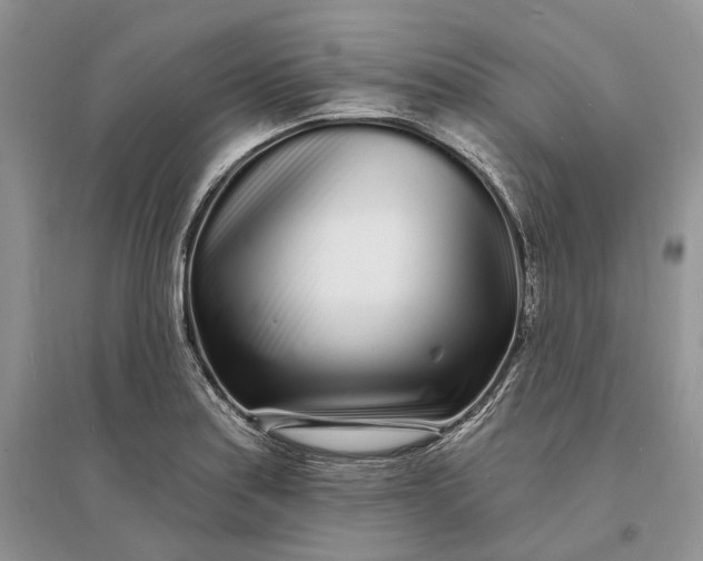 X0000096391179200802071529