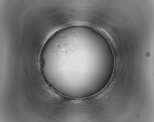 X0000096391182200802071529