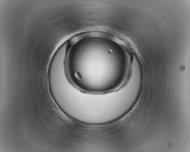 X0000096391184200802071529