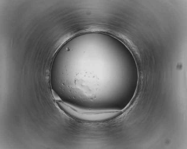 X0000096391185200802071529