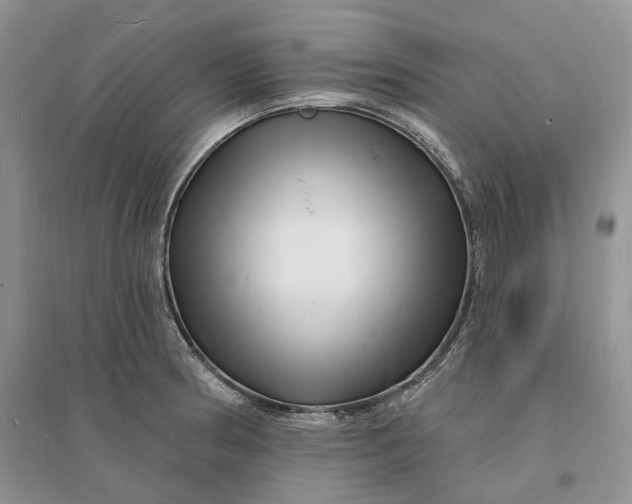 X0000096391186200802071529
