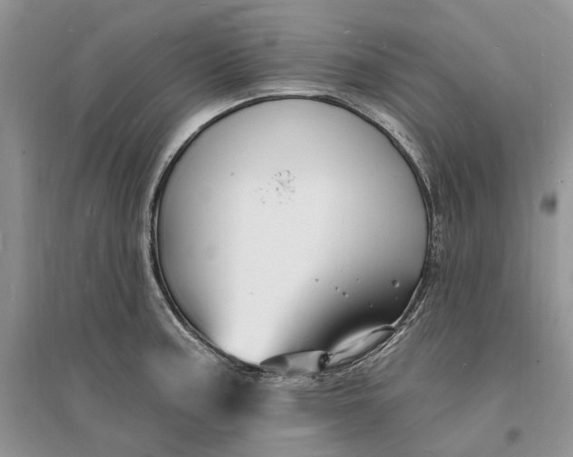 X0000096391187200802071529