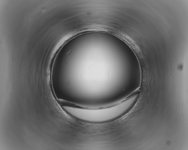X0000096391188200802071529