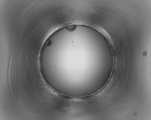X0000096391190200802071529