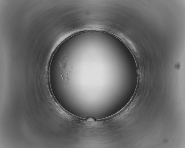 X0000096391192200802071529