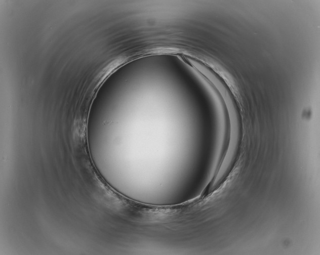 X0000096391193200802071529