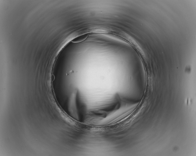 X0000096391194200802071529