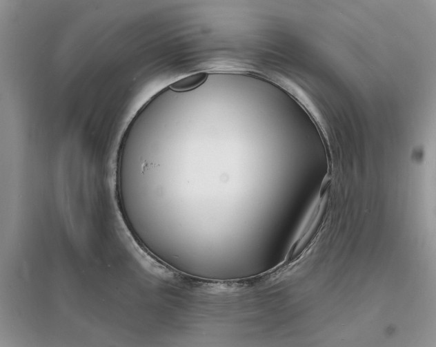 X0000096391195200802071529