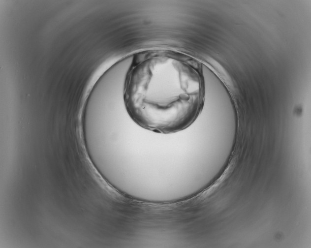 X0000096391196200802071529