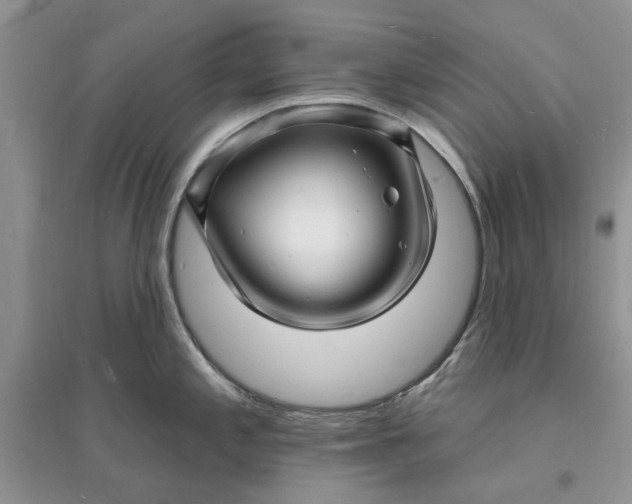 X0000096391197200802071529